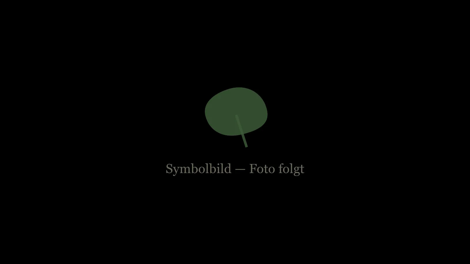Symbolbild — passendes Foto folgt