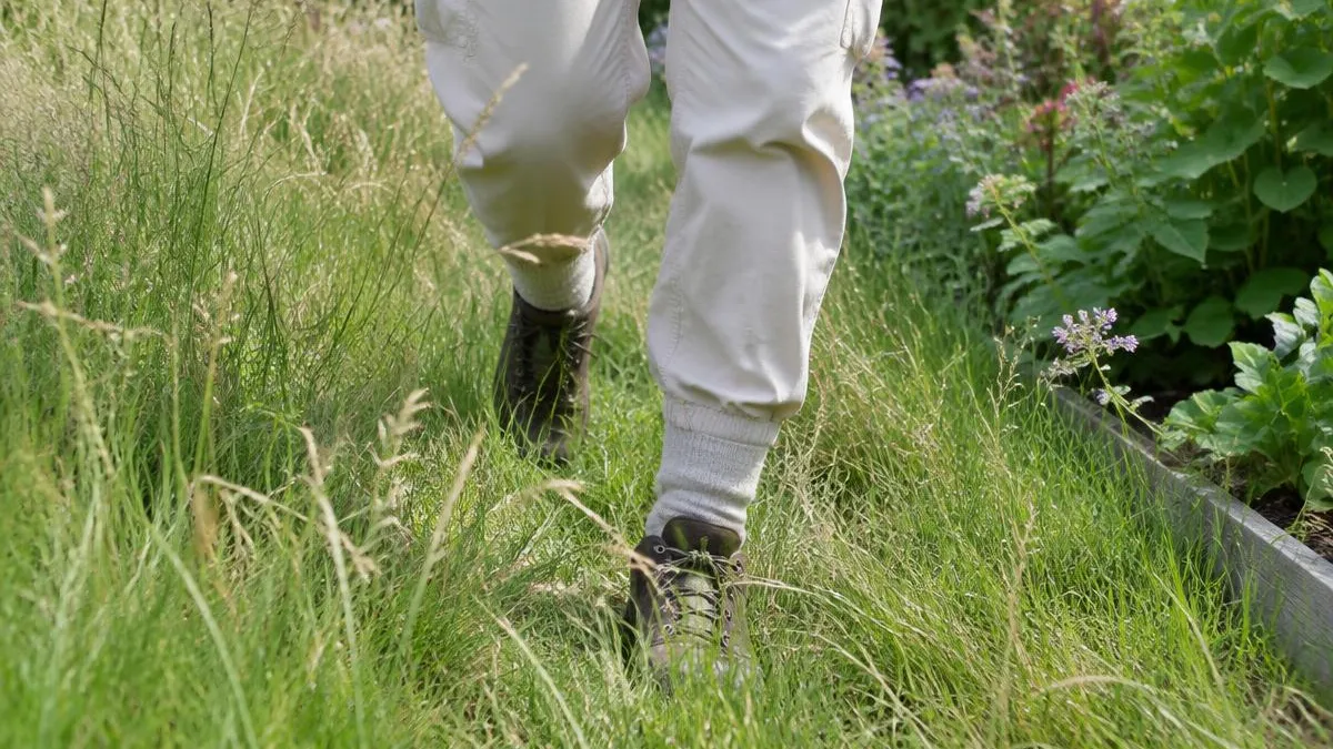 Unterschenkel einer Person in heller langer Hose, deren Hosenbeine in die Socken gesteckt sind, mit geschlossenen Schuhen in hohem Wiesengras am Gartenrand